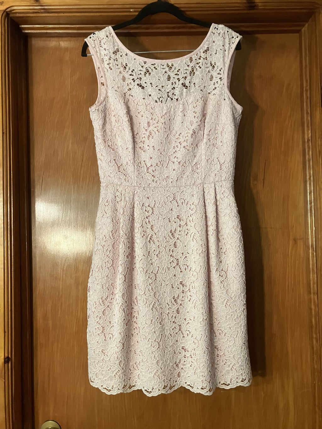 Pink Lace Overlay Fit and Flare Dress