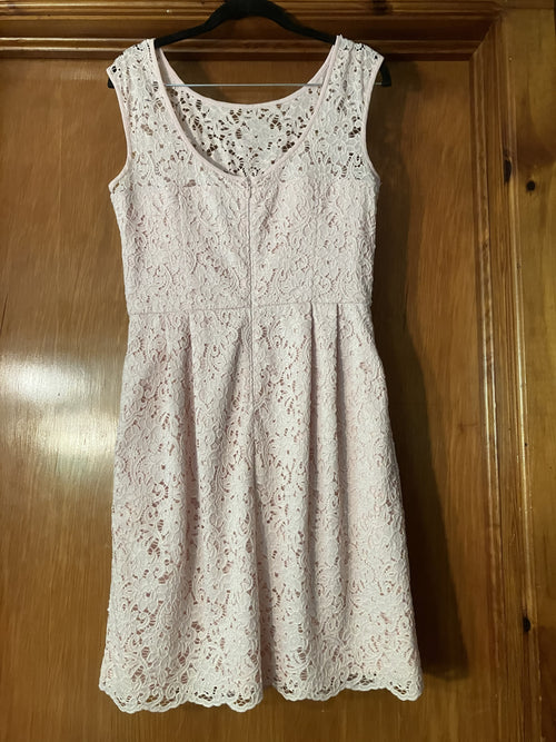 Pink Lace Overlay Fit and Flare Dress