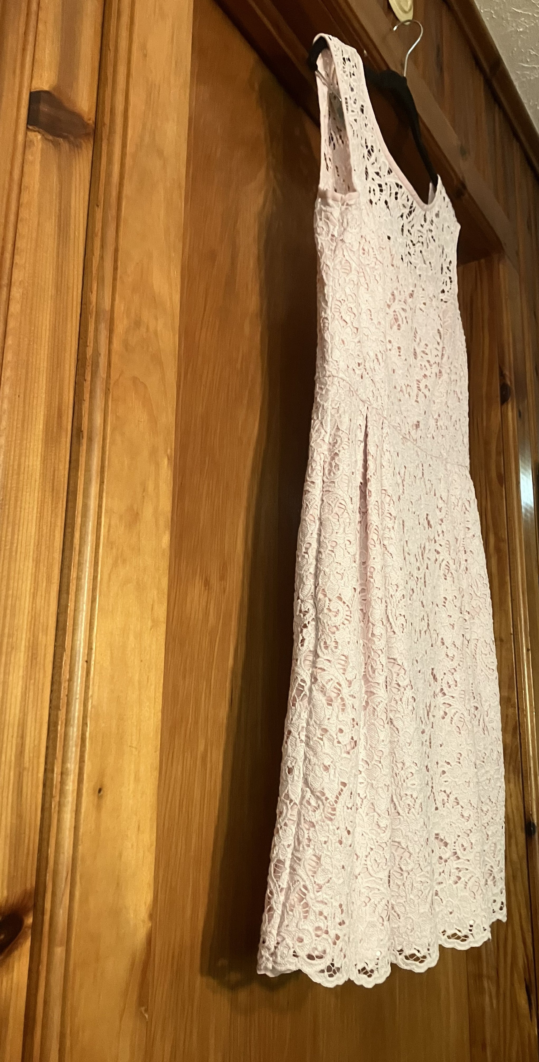 Pink Lace Overlay Fit and Flare Dress